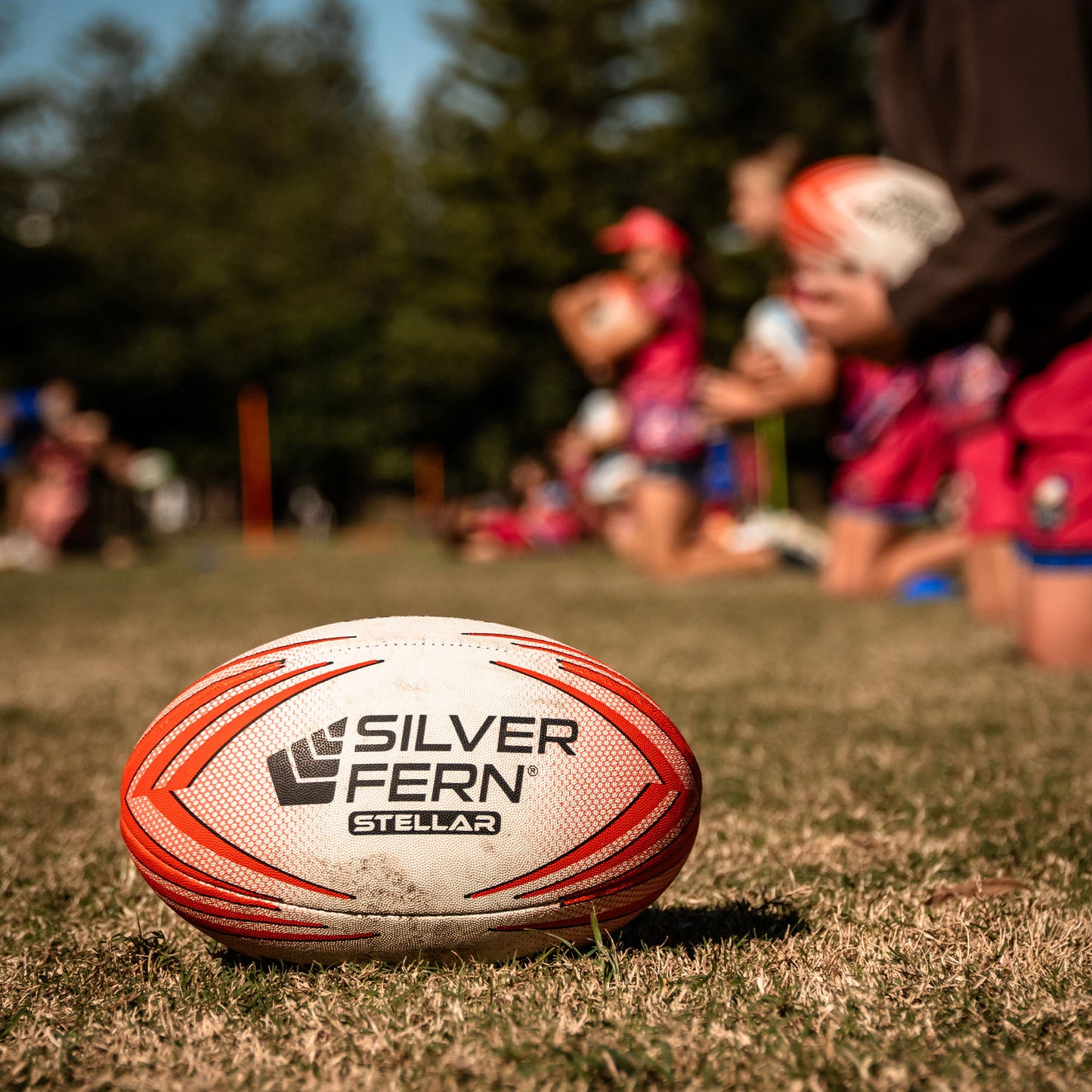 Stellar Premium Trainer Size 5